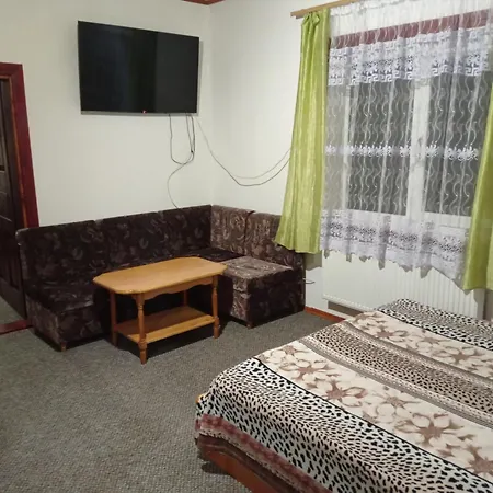 Едельвейс Apartment Slavske Room photo